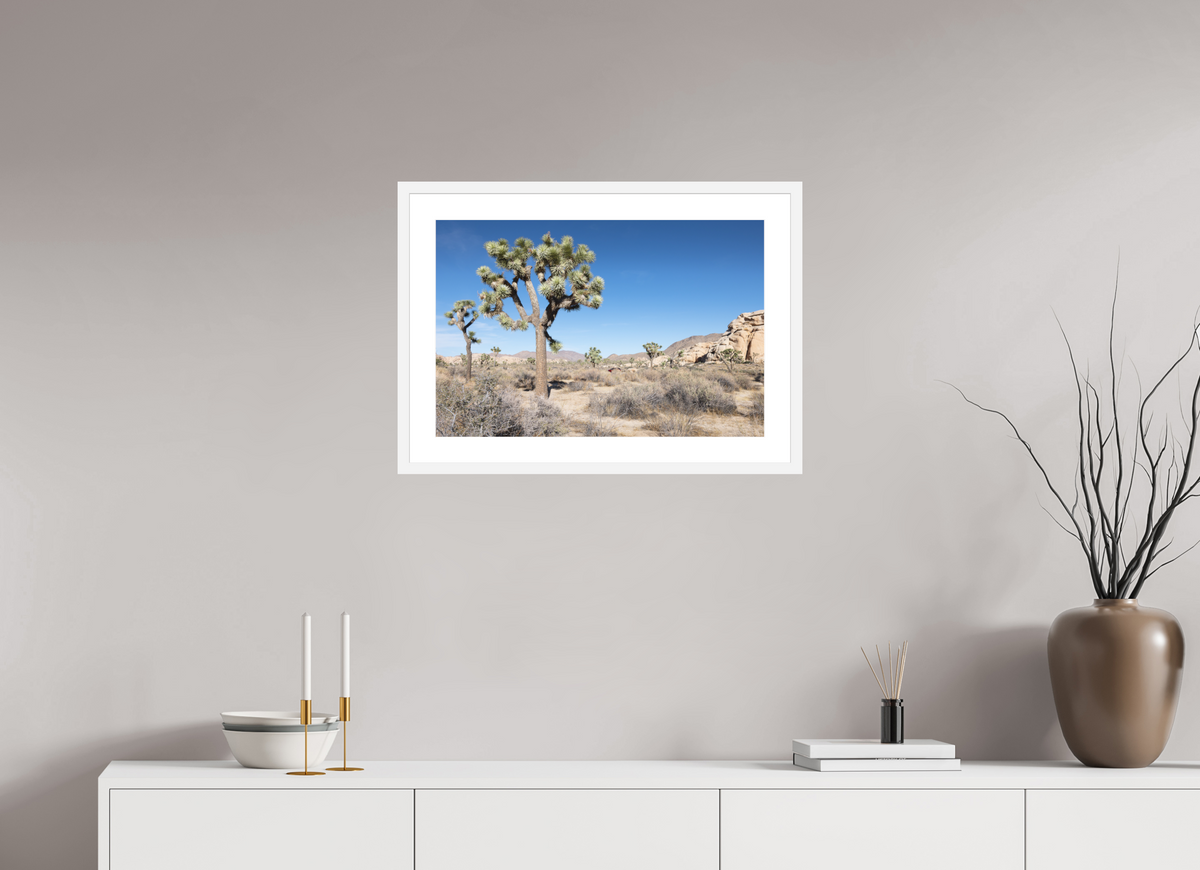 24 x 16″, White Wood Frame Joshua Tree II