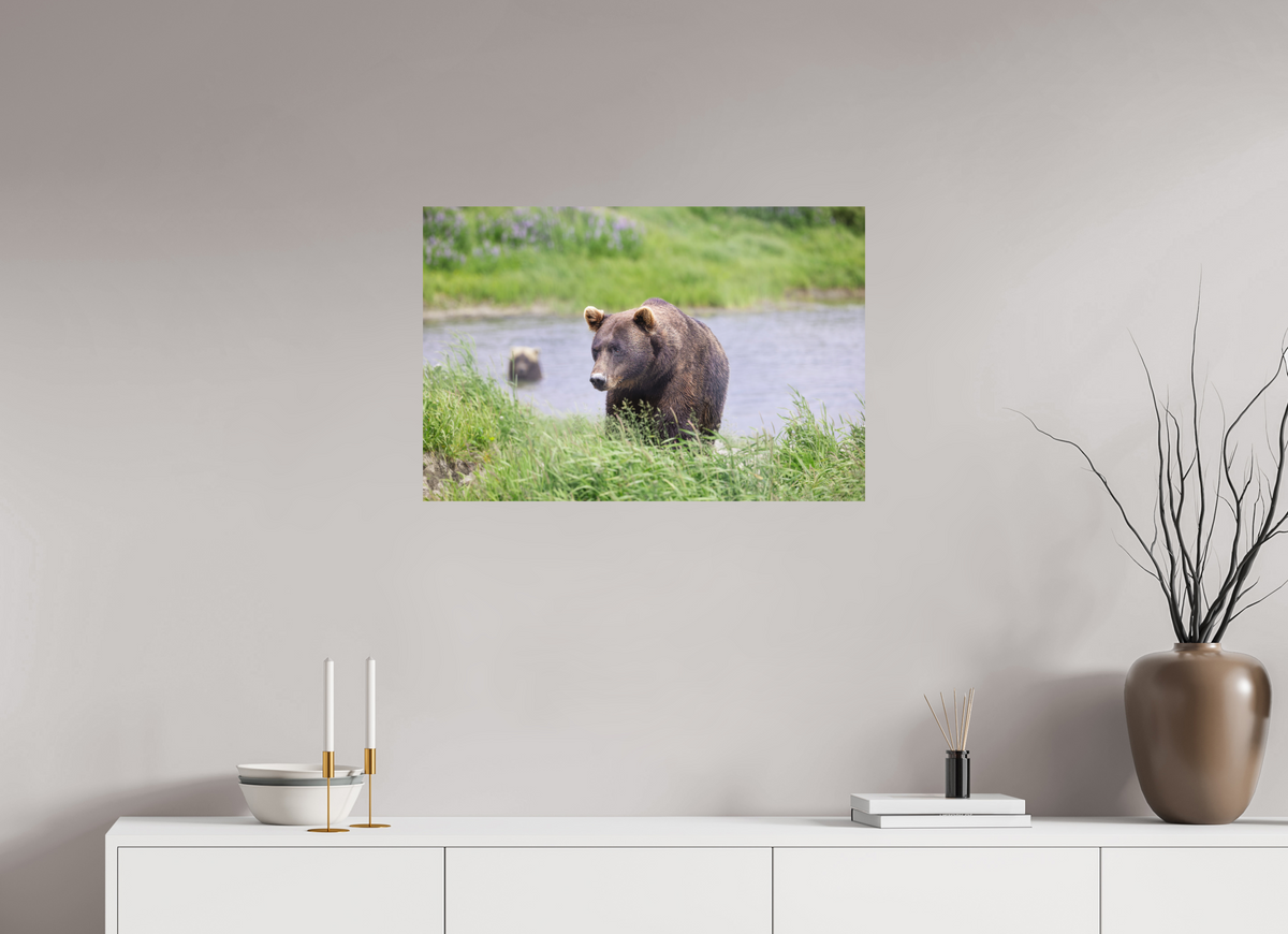 30 x 20″, Print Only Grizzly Shore I