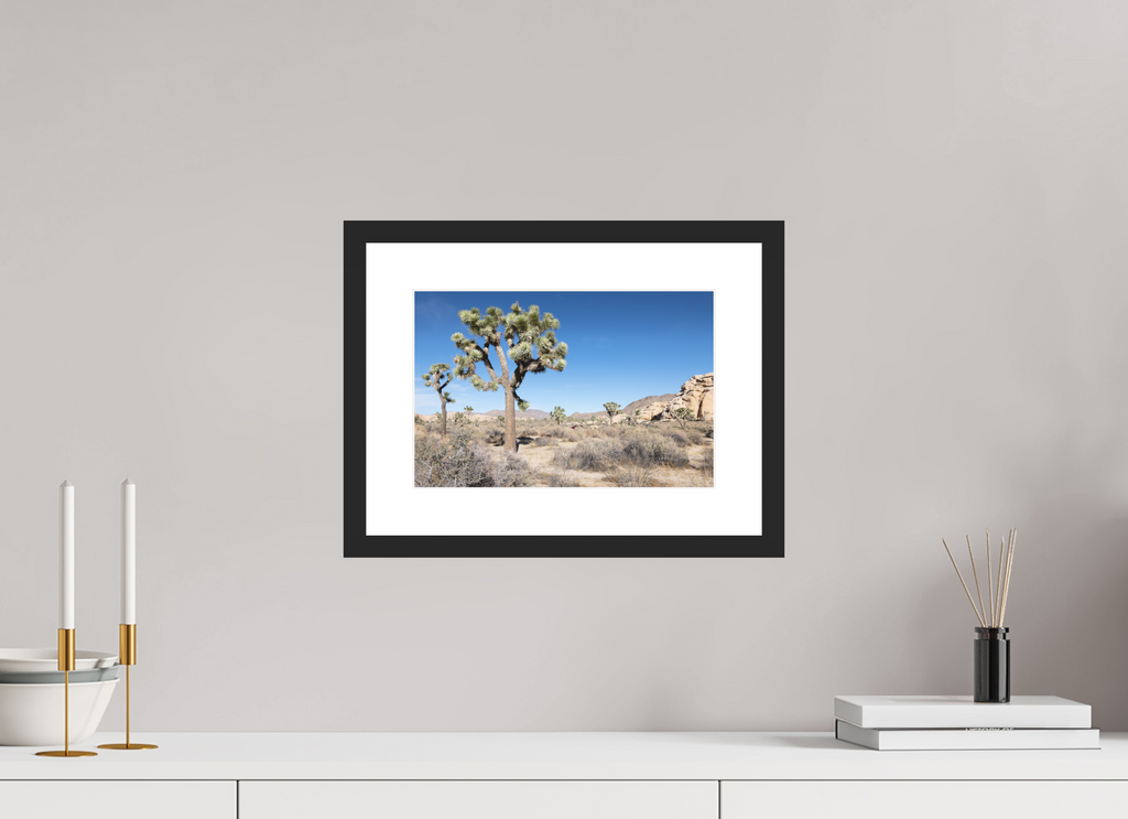 12 x 8″, Black Wood Frame Joshua Tree II