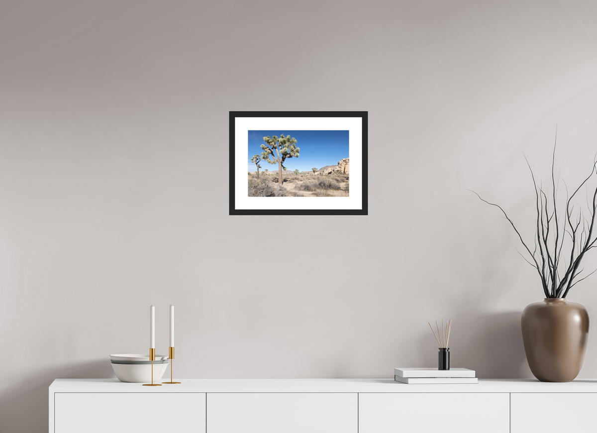 15 x 10″, Black Wood Frame Joshua Tree II