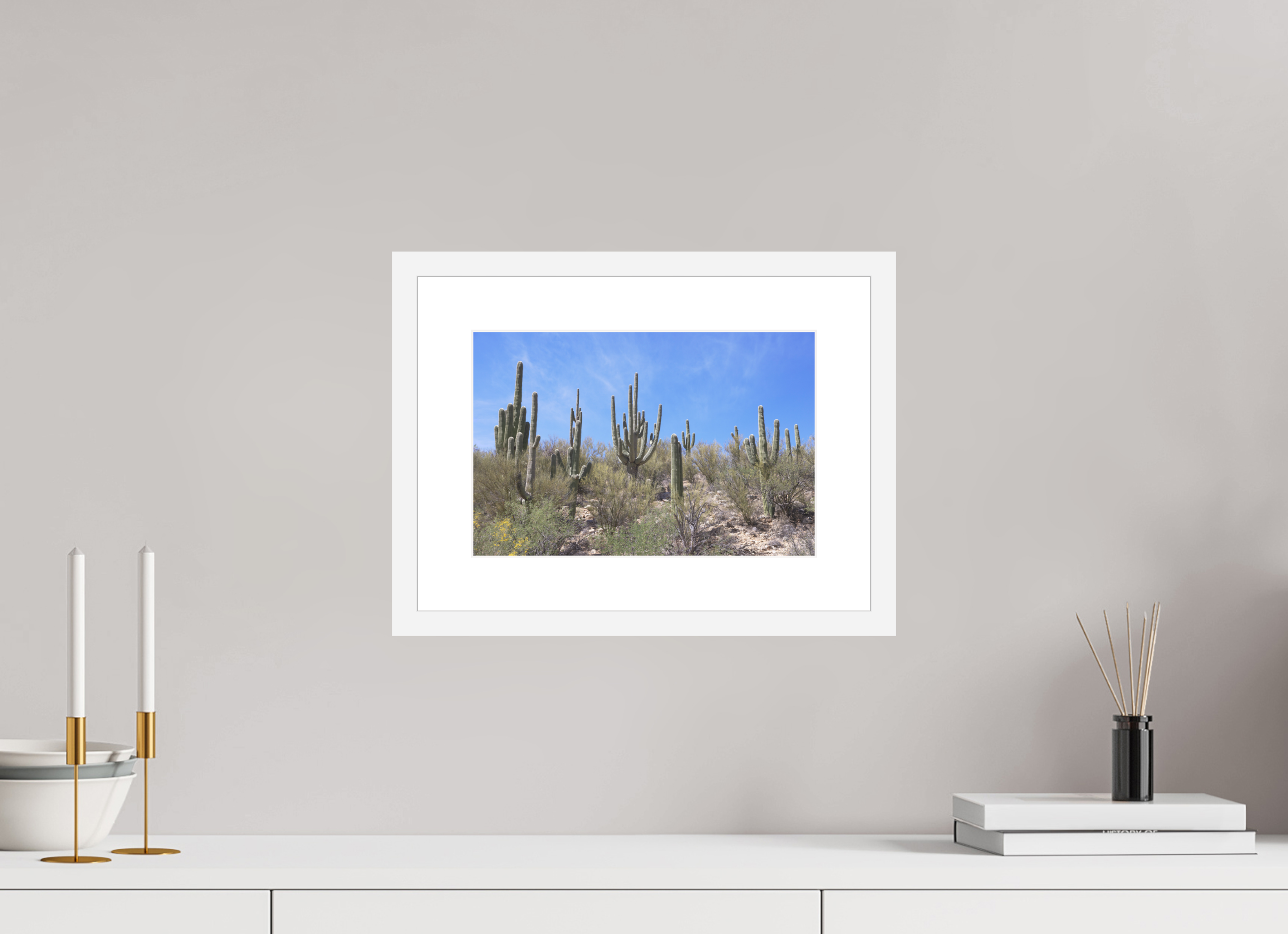 12 x 8″, White Wood Frame Saguaro I