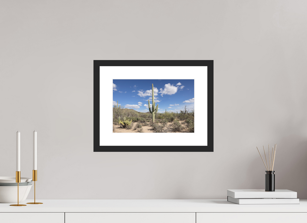 12 x 8″, Black Wood Frame Saguaro II