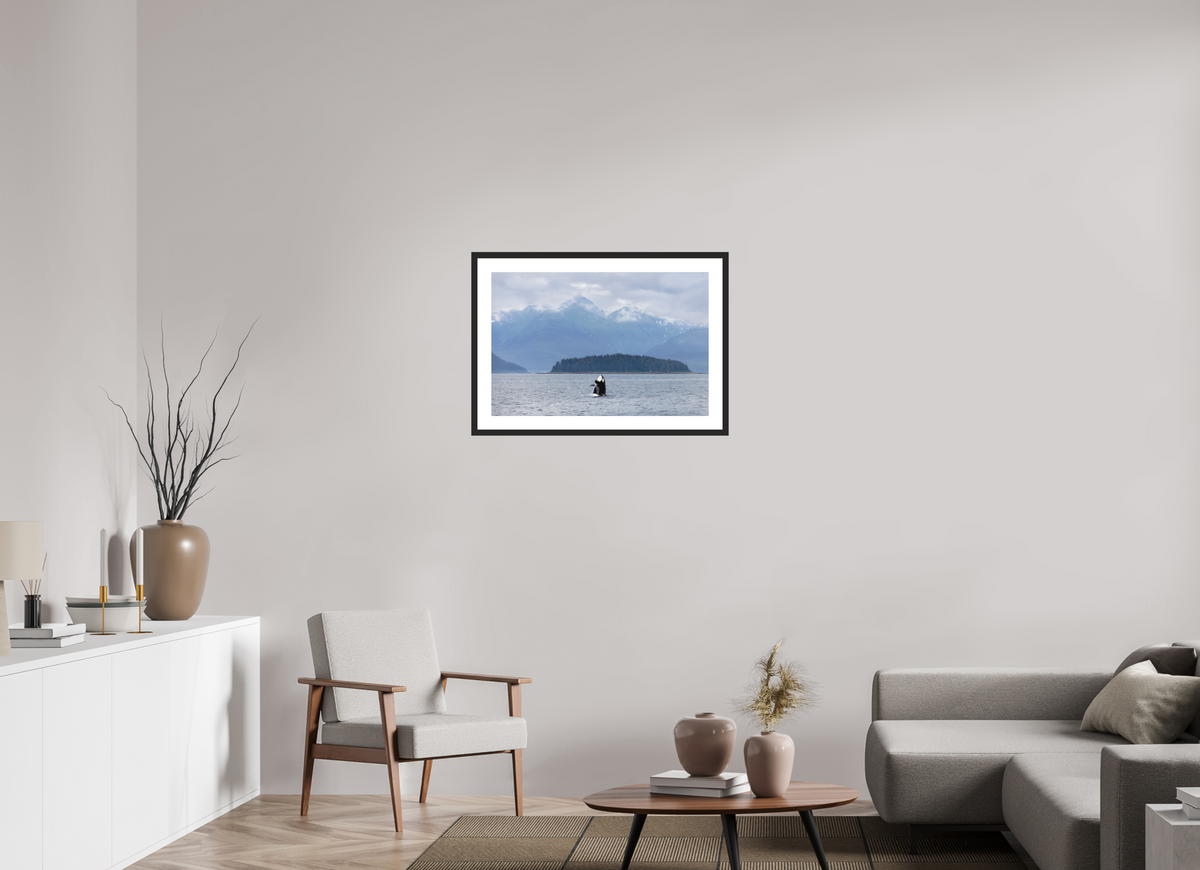 Breach fine art print of an orca breaching in Juneau, Alaska, 30 x 20 in, black wood frame with white mat