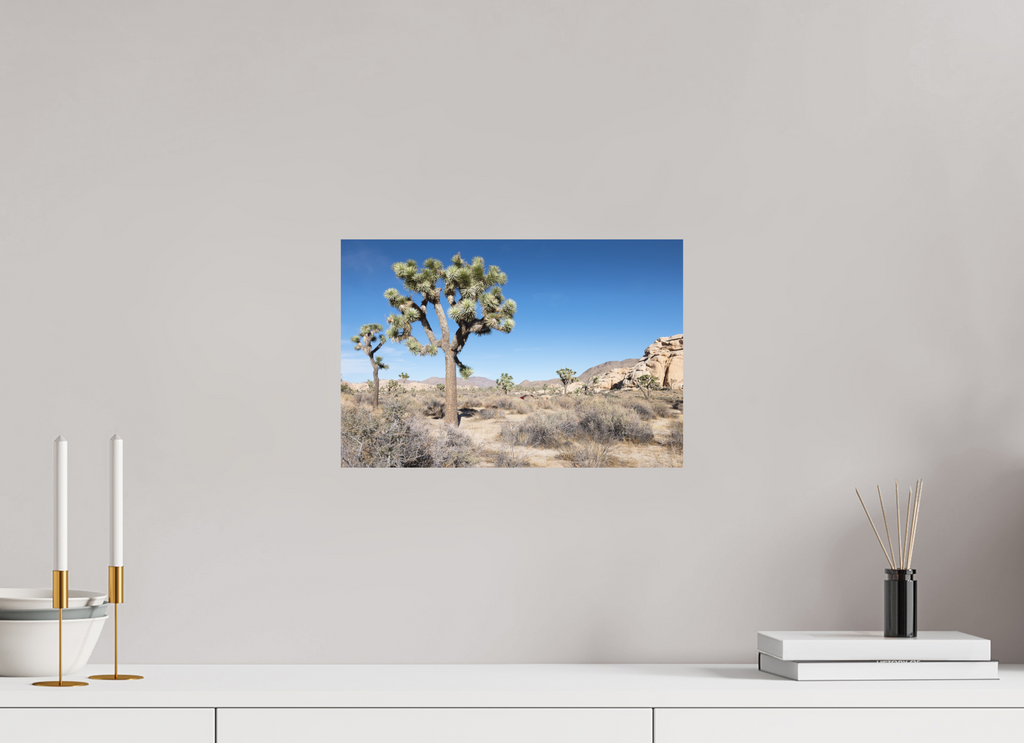 15 x 10″, Print Only Joshua Tree II