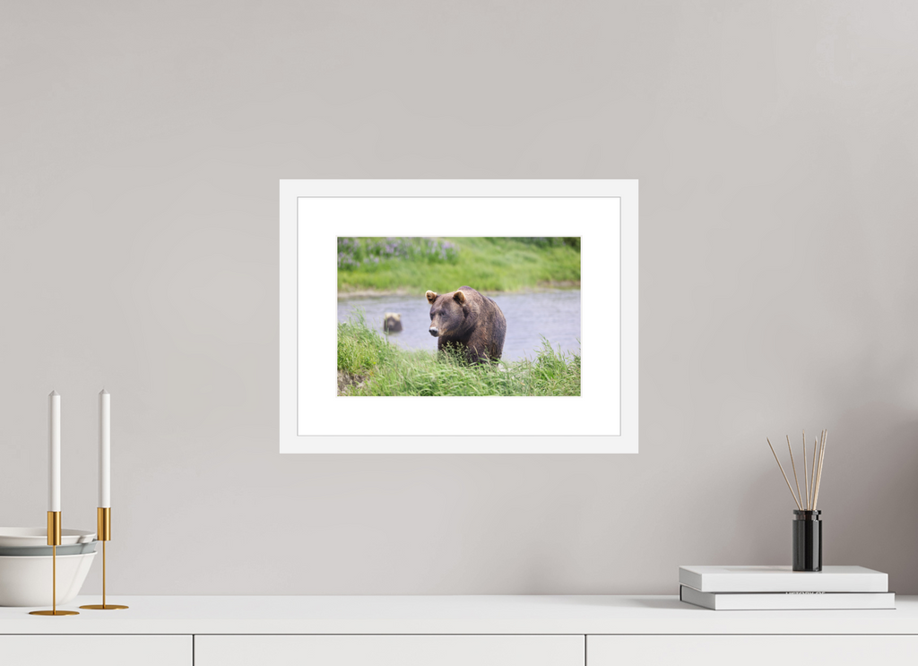 12 x 8″, White Wood Frame Grizzly Shore I