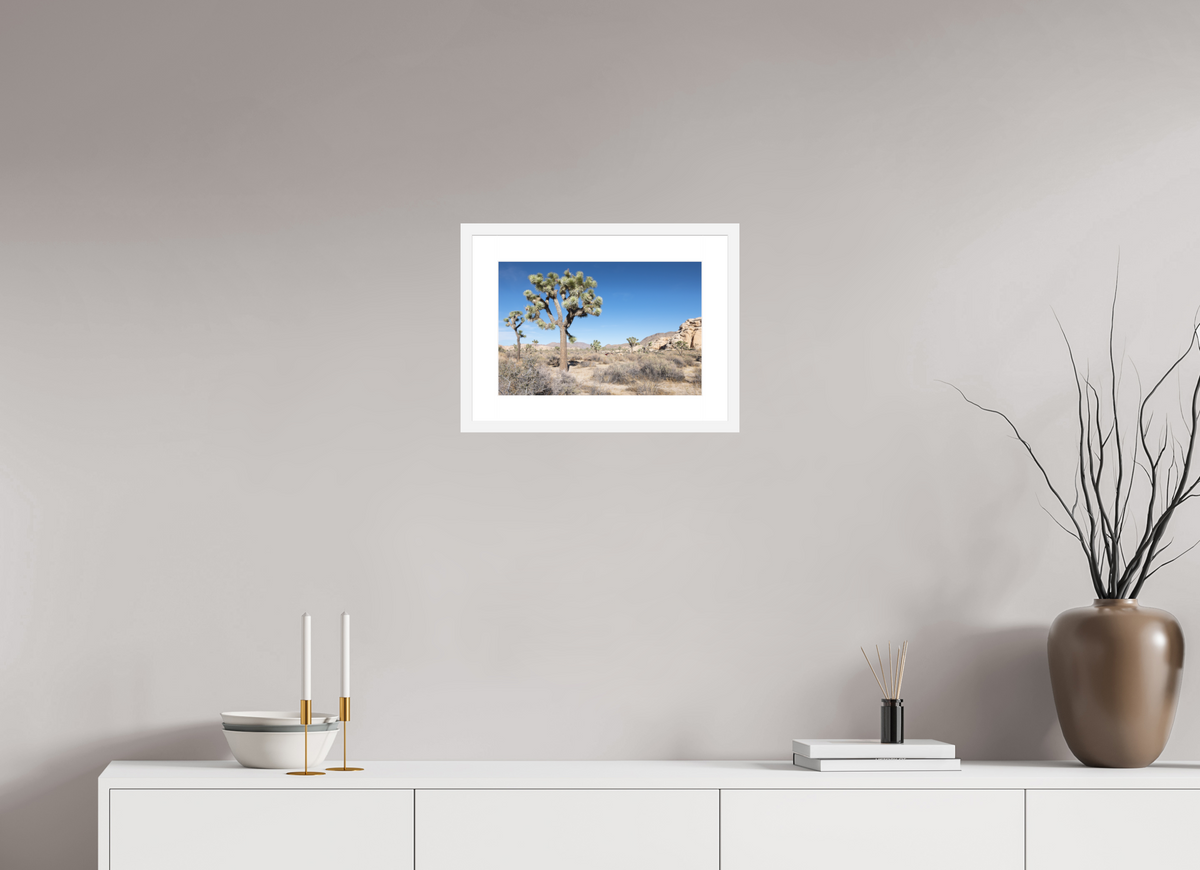 15 x 10″, White Wood Frame Joshua Tree II