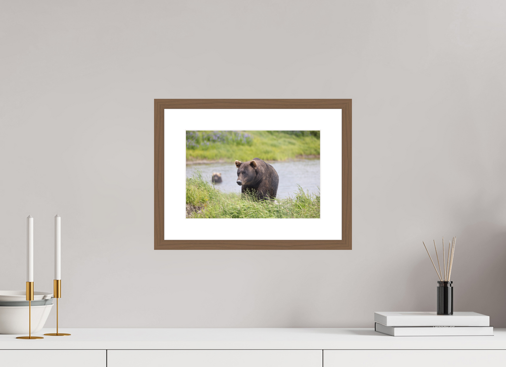 12 x 8″, Walnut Wood Frame Grizzly Shore, No. 1