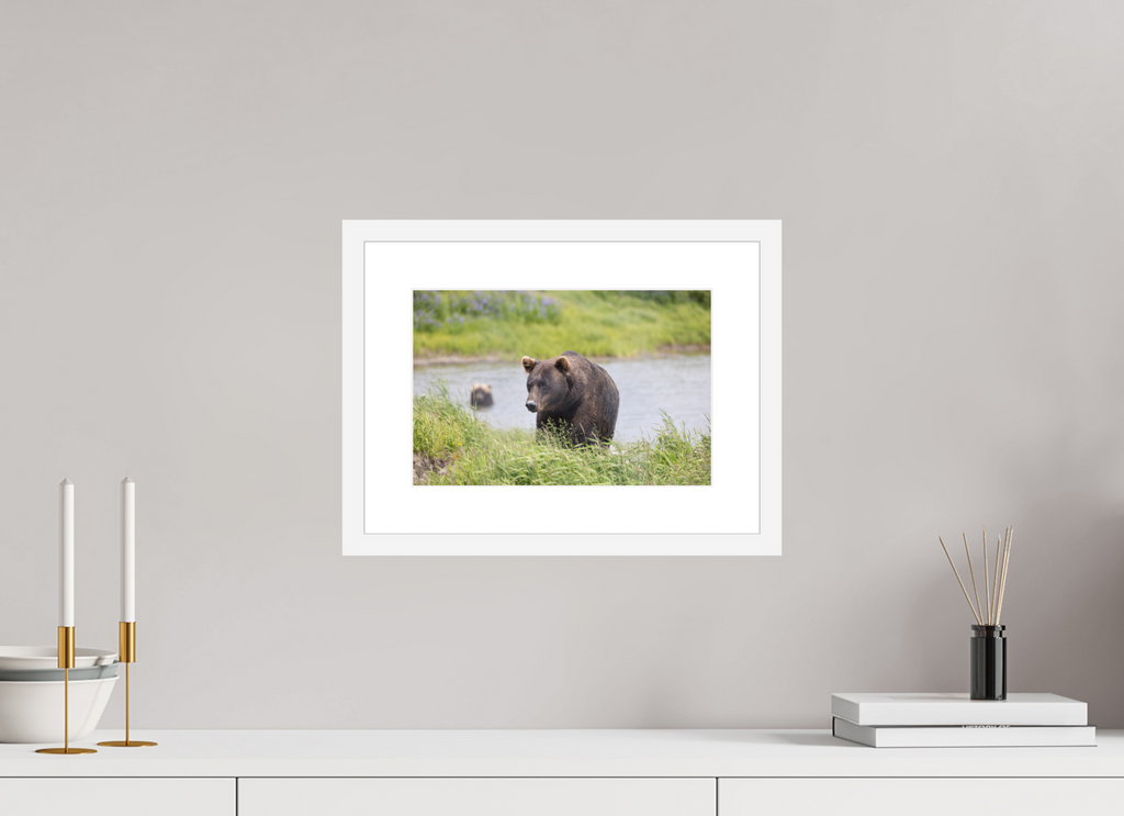 12 x 8″, White Wood Frame Grizzly Shore, No. 1