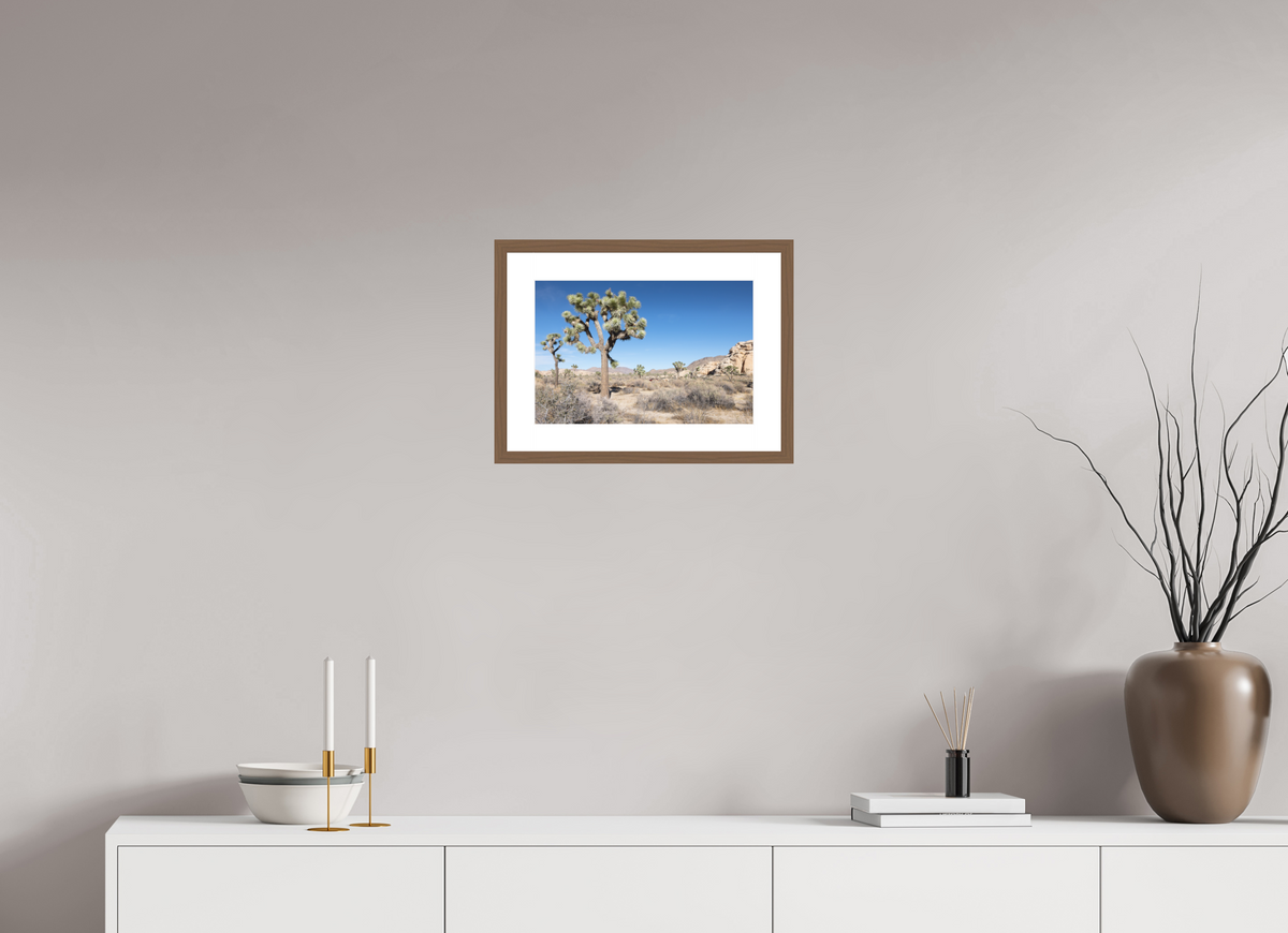15 x 10″, Walnut Wood Frame Joshua Tree II