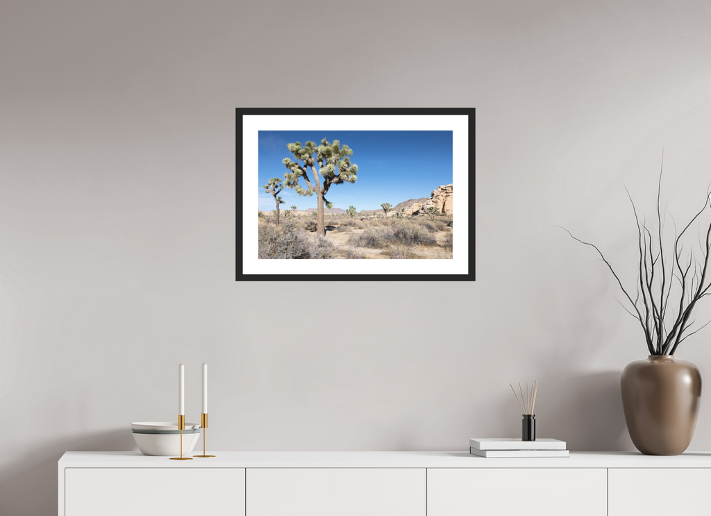 24 x 16″, Black Wood Frame Joshua Tree II