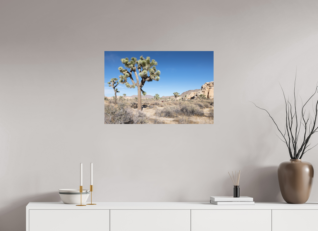 30 x 20″, Print Only Joshua Tree II