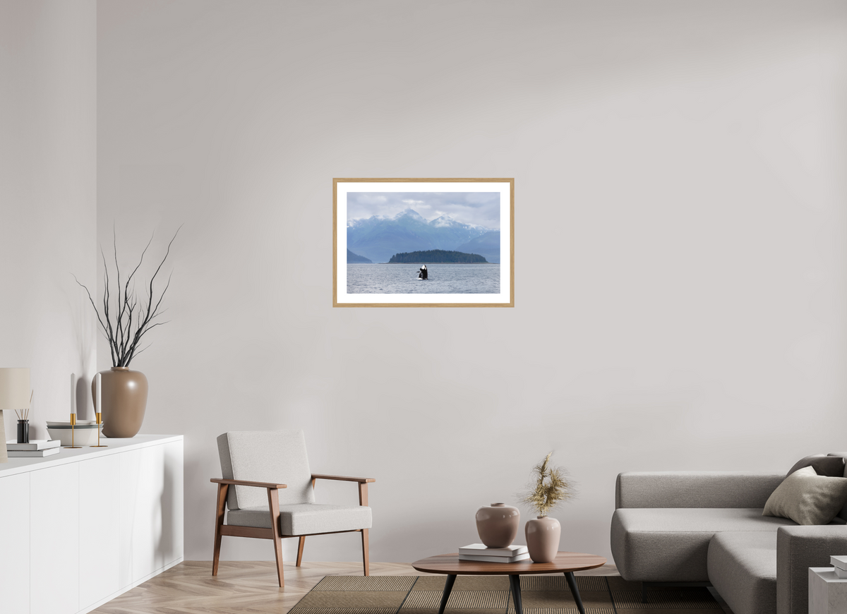 Breach fine art print of an orca breaching in Juneau, Alaska, 30 x 20 in, natural oak wood frame with white mat