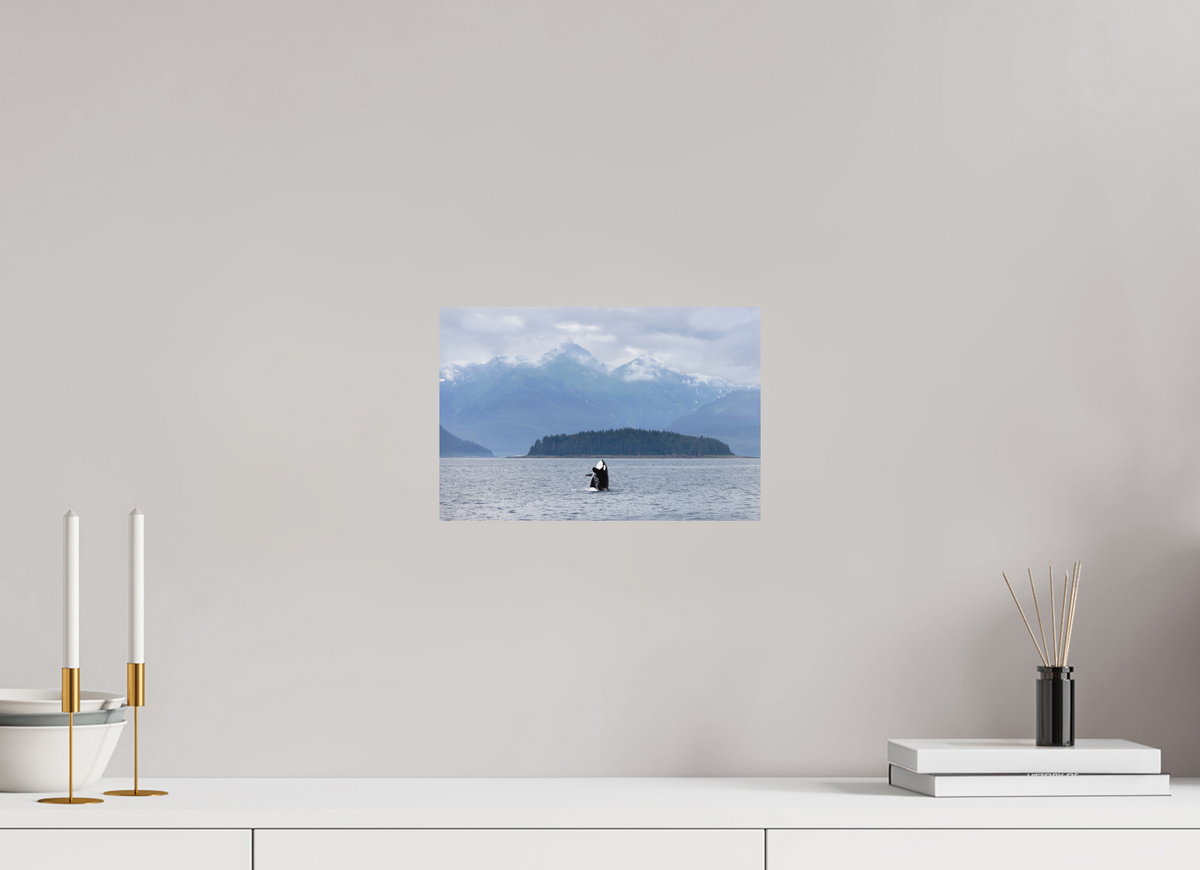 Breach fine art print of an orca breaching in Juneau, Alaska, 12 x 8 in, unframed