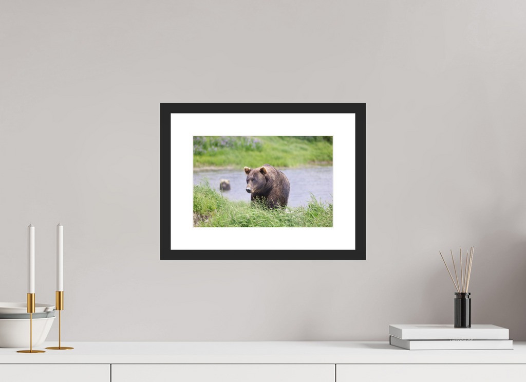 12 x 8″, Black Wood Frame Grizzly Shore I