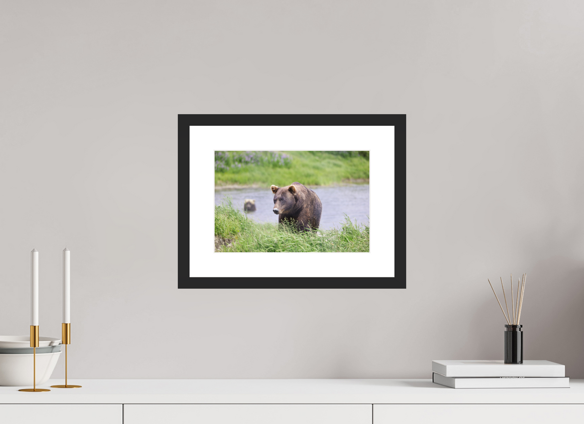 12 x 8″, Black Wood Frame Grizzly Shore I