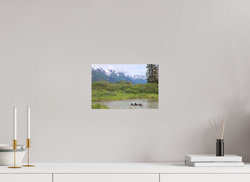 12 x 8″, Print Only Grizzly Shore II