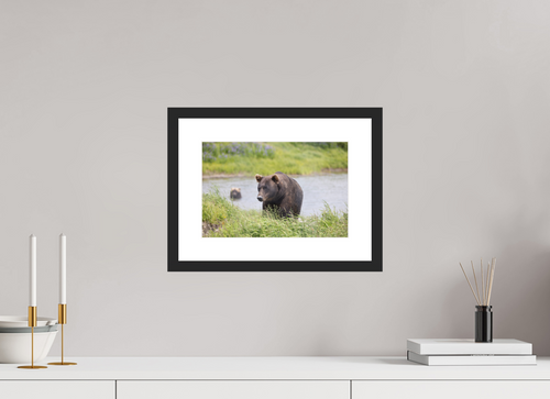 12 x 8″, Black Wood Frame Grizzly Shore, No. 1