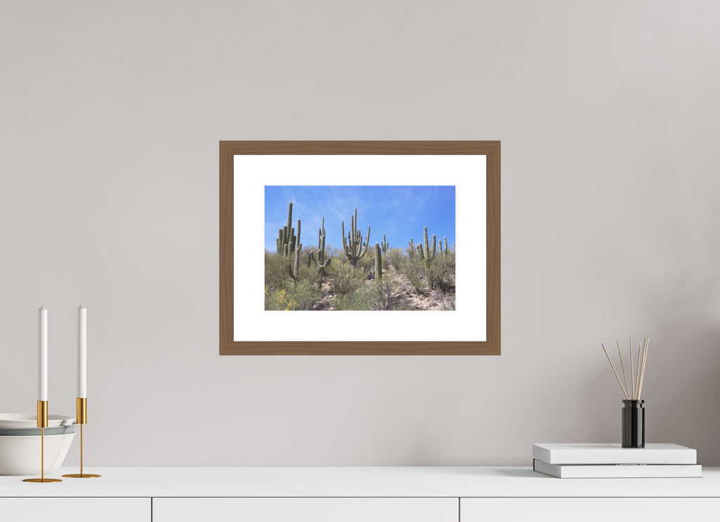 12 x 8″, Walnut Wood Frame Saguaro I