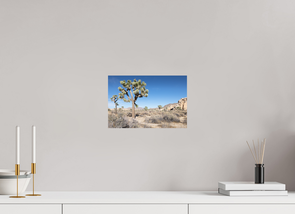 12 x 8″, Print Only Joshua Tree II