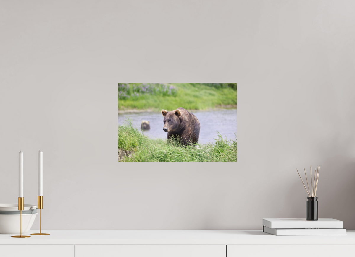 15 x 10″, Print Only Grizzly Shore I
