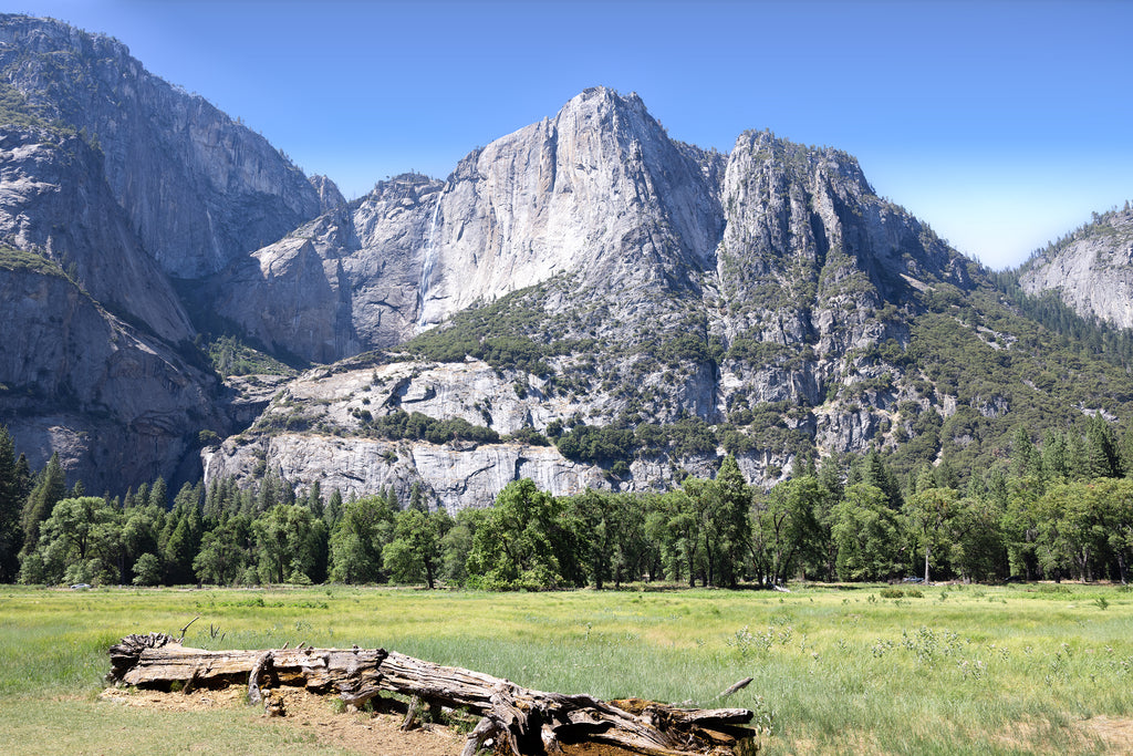 Cathedral Rocks granite cliffs above a green meadow with a weathered fallen tree in Yosemite National Park, California