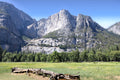 Cathedral Rocks granite cliffs above a green meadow with a weathered fallen tree in Yosemite National Park, California