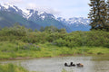 Grizzly Shore II