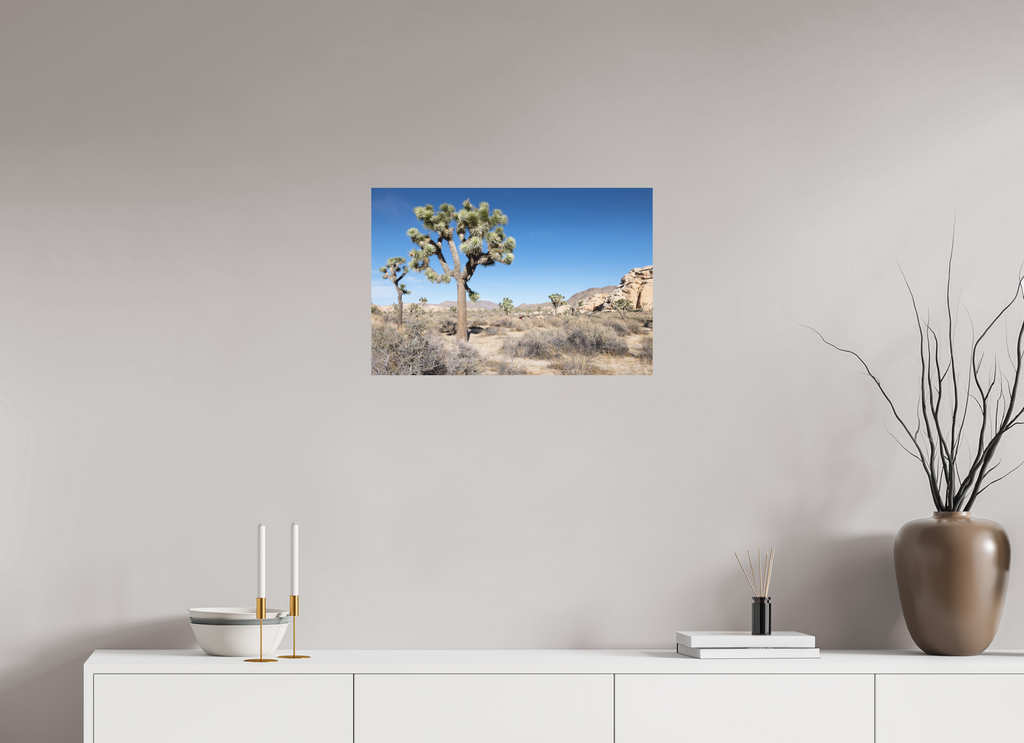 24 x 16″, Print Only Joshua Tree II