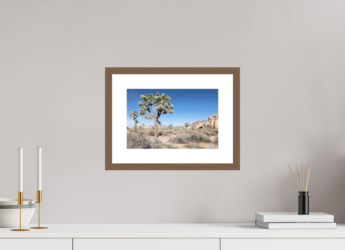 12 x 8″, Walnut Wood Frame Joshua Tree II