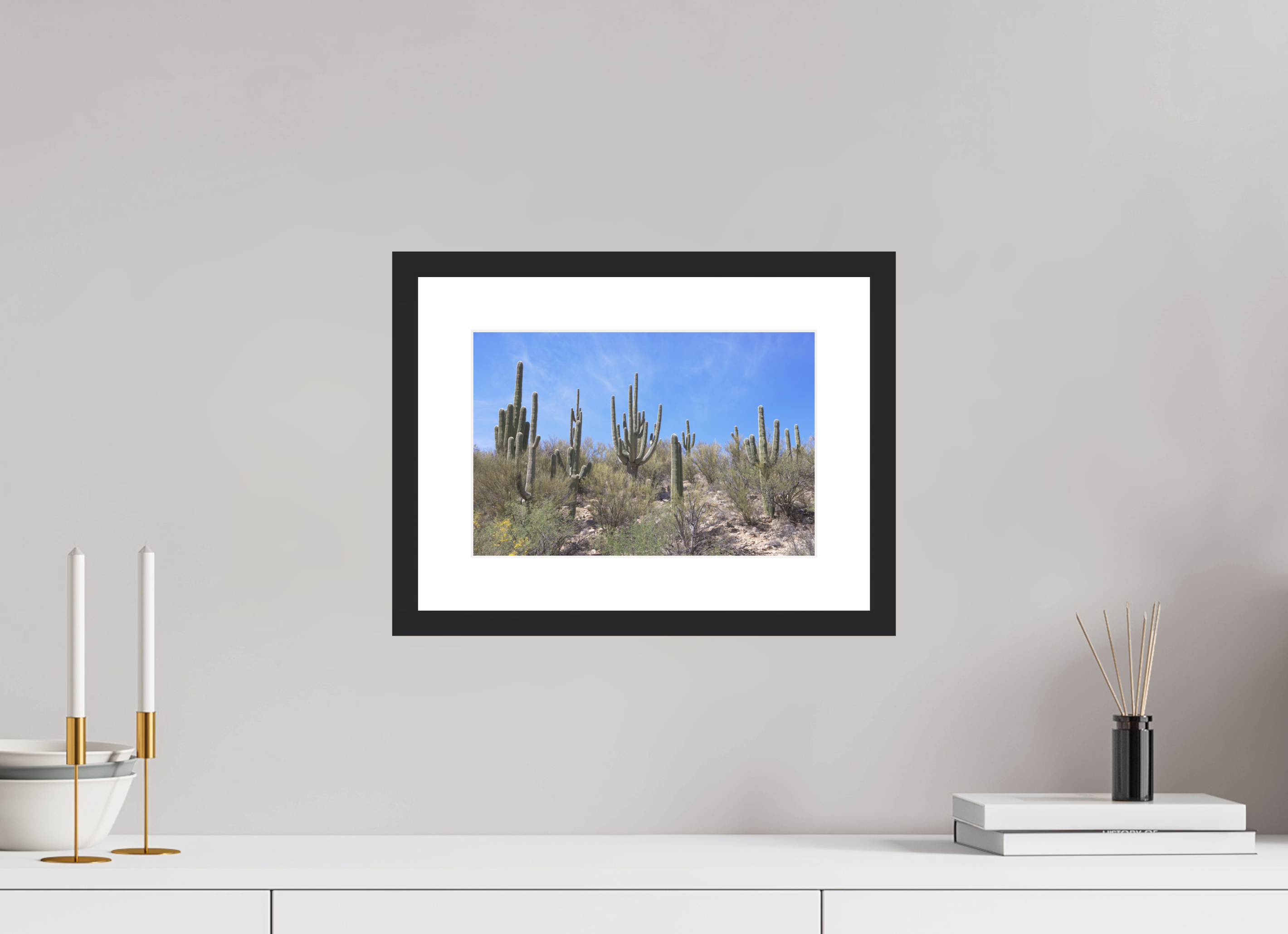 12 x 8″, Black Wood Frame Saguaro I