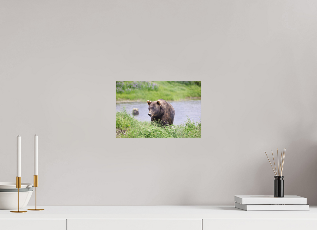 12 x 8″, Print Only Grizzly Shore I