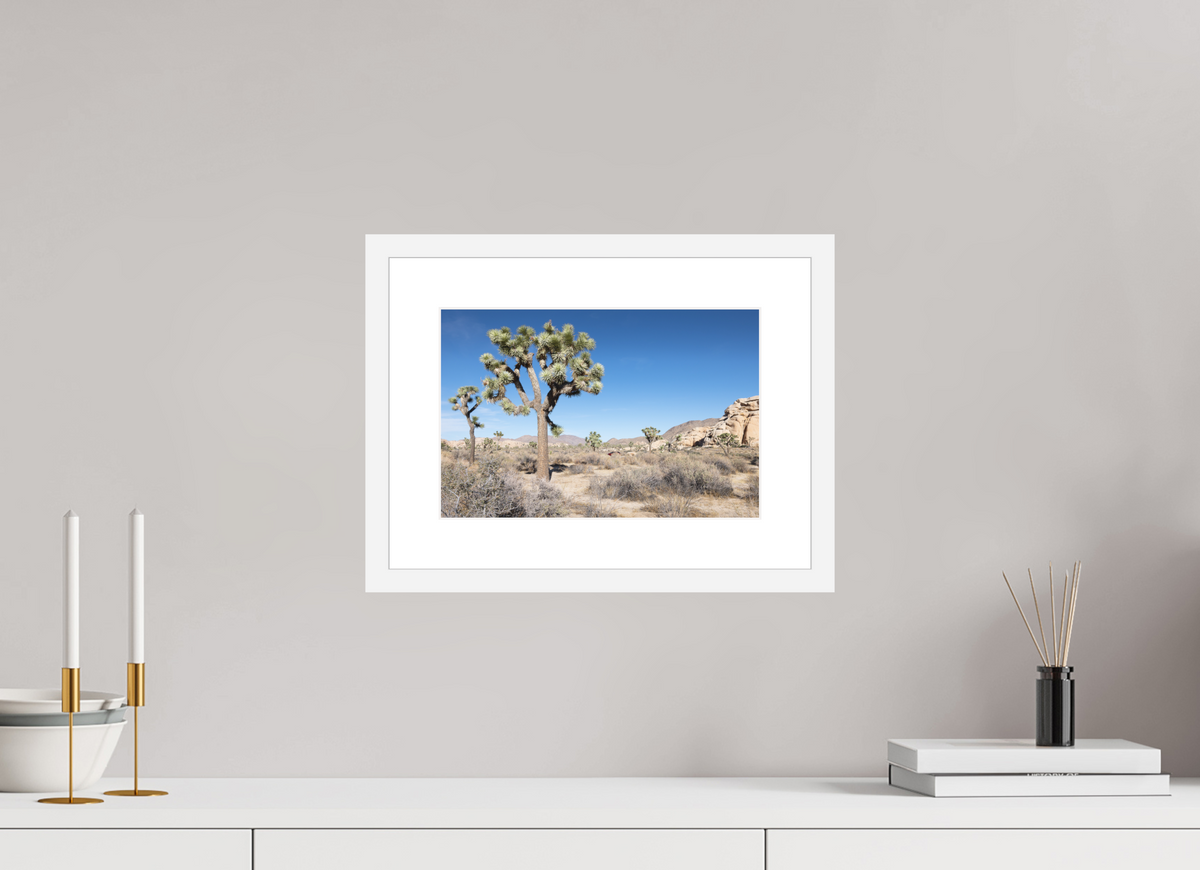 12 x 8″, White Wood Frame Joshua Tree II