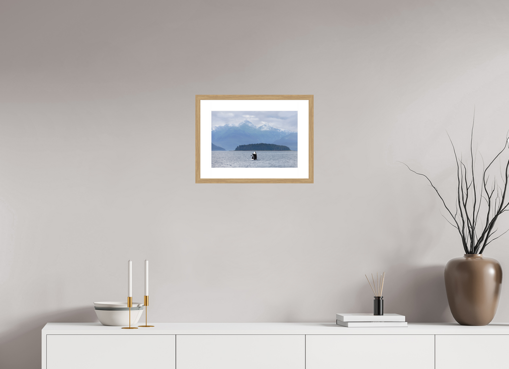 Breach fine art print of an orca breaching in Juneau, Alaska, 15 x 10 in, natural oak wood frame with white mat